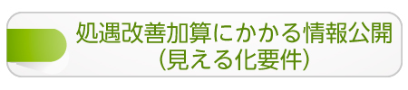 定処遇改善加算にかかる情報公開（見える化要件）